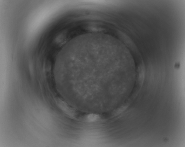 X0000113940762200910161915