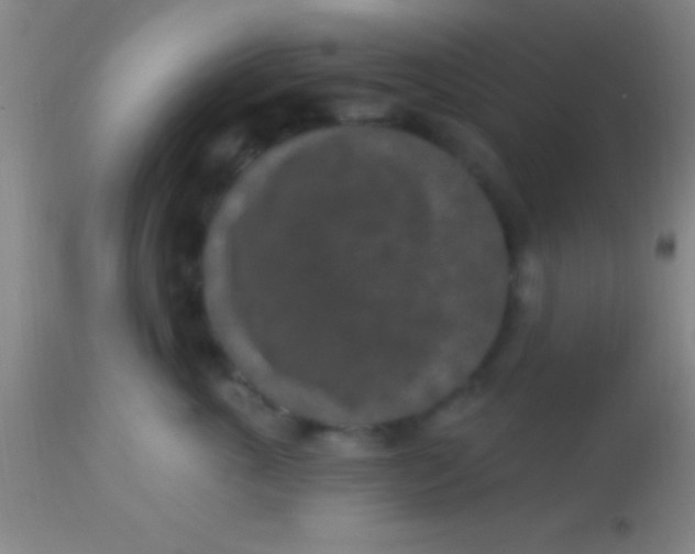X0000113940763200910161915