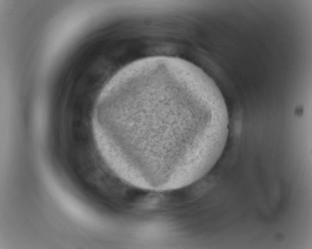 X0000113940764200910161915