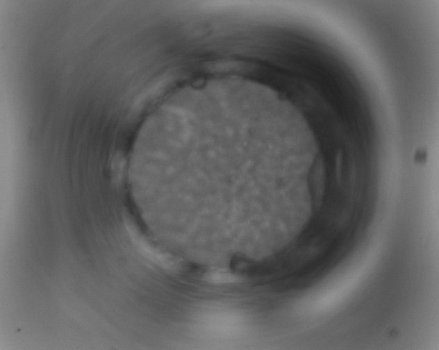X0000113940767200910161915