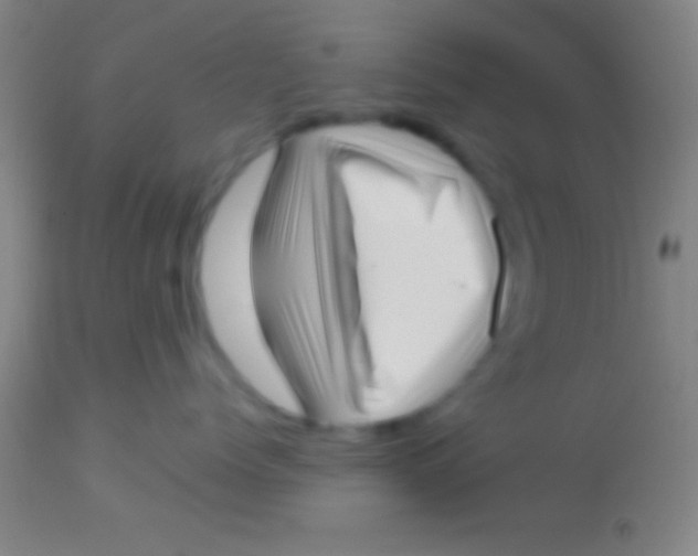 X0000113940768200910161915