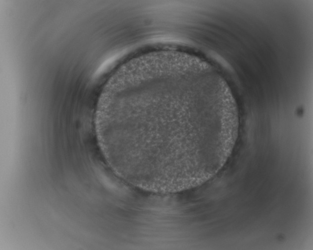 X0000113940775200910161914