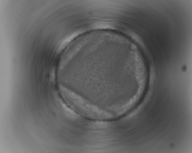 X0000113940777200910161914