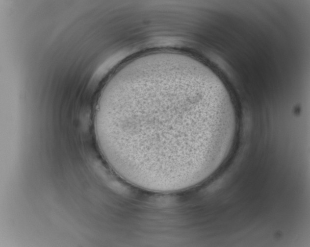 X0000113940778200910161914