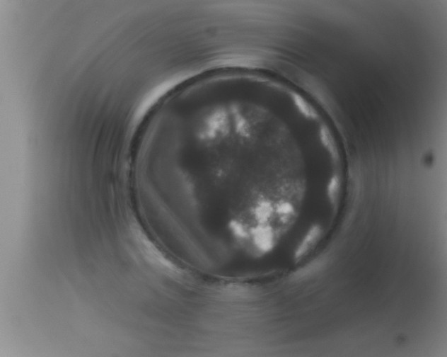 X0000113940779200910161914
