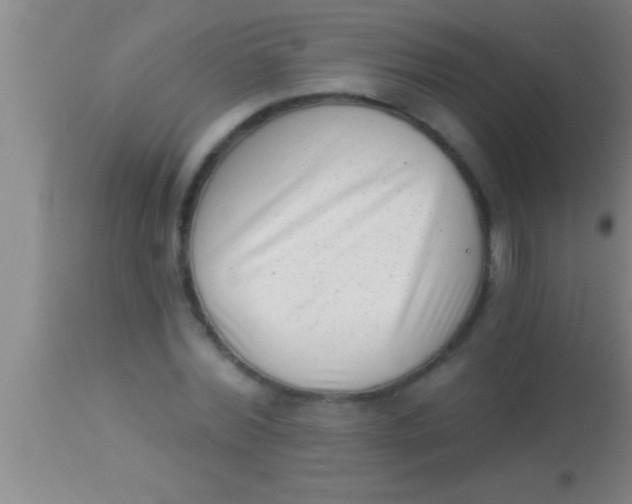 X0000113940780200910161914