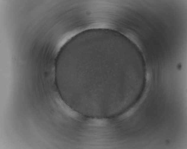 X0000113940781200910161914