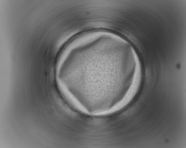 X0000113940782200910161914