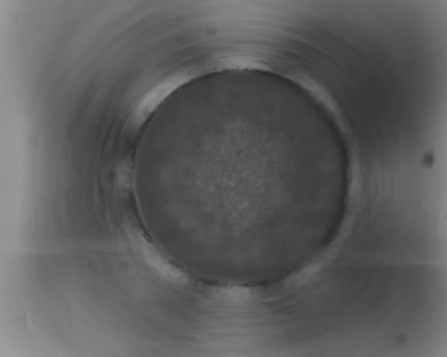 X0000113940785200910161914