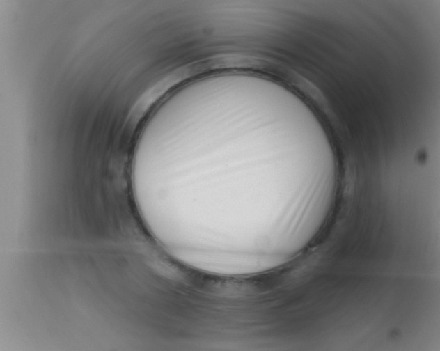 X0000113940786200910161914