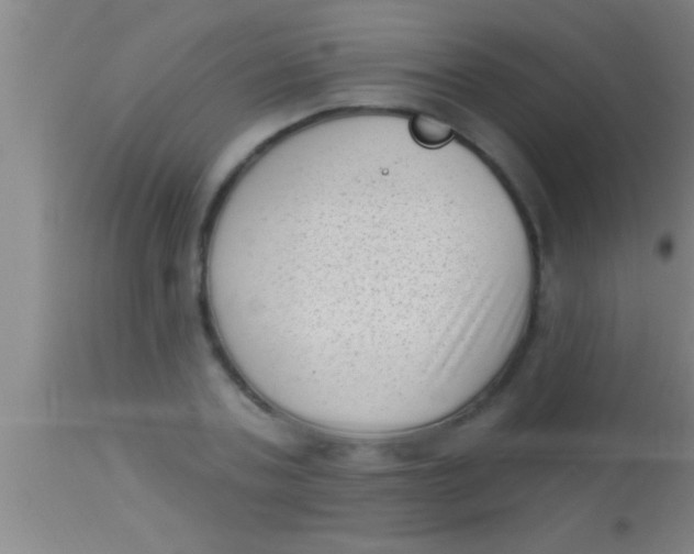 X0000113940787200910161914