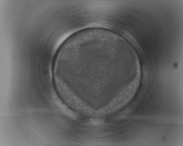 X0000113940788200910161914