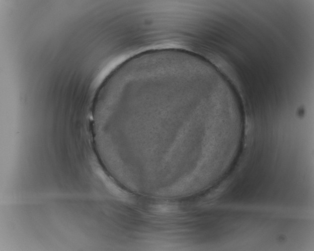 X0000113940789200910161914