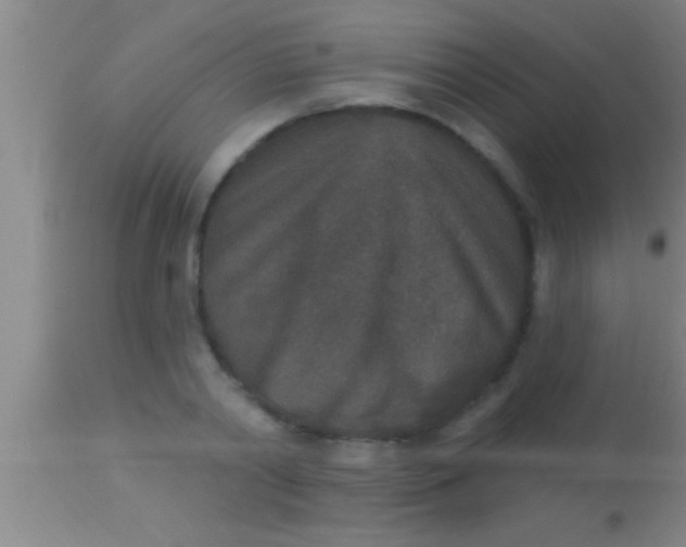 X0000113940790200910161914