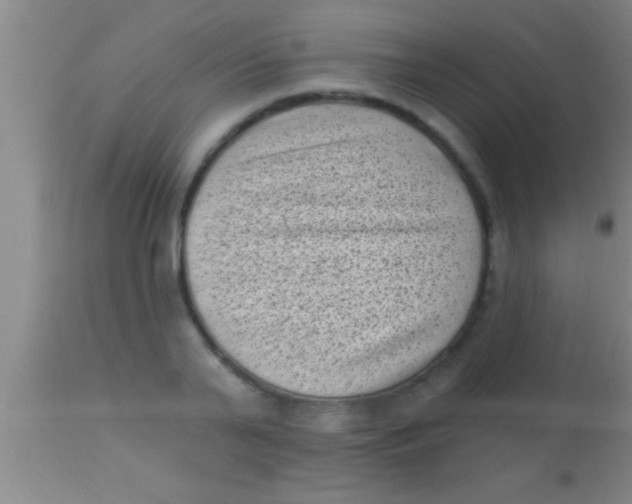 X0000113940791200910161914
