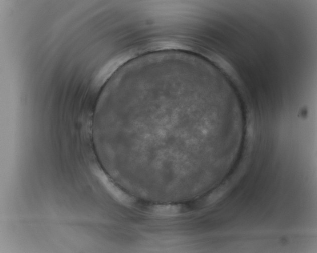 X0000113940793200910161914