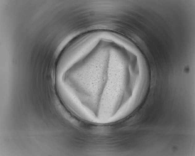 X0000113940796200910161914