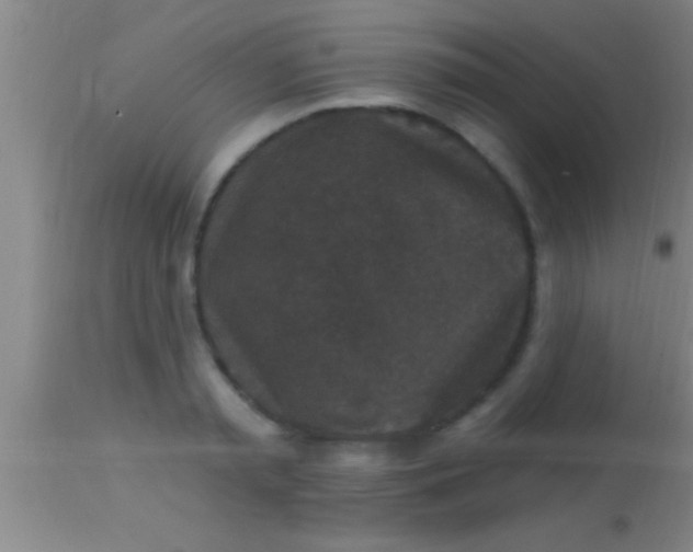 X0000113940797200910161914
