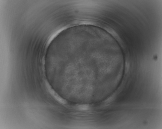 X0000113940798200910161914