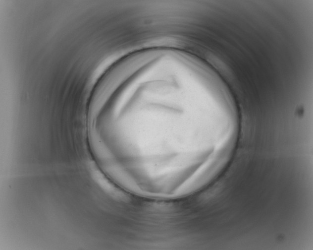 X0000113940800200910161914