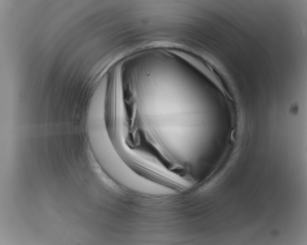 X0000113940801200910161914