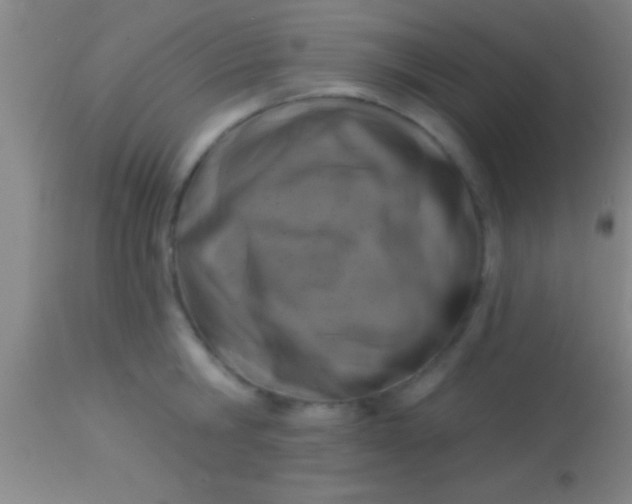 X0000113940806200910161913