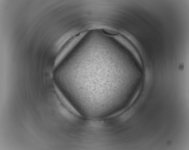 X0000113940809200910161913