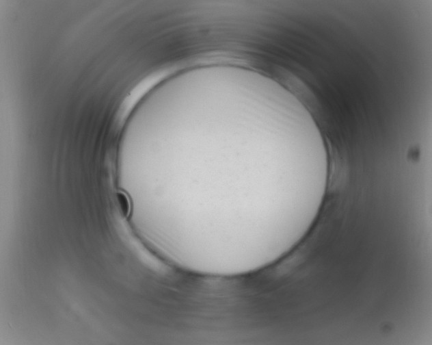 X0000113940812200910161913