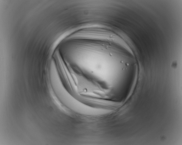 X0000113940813200910161913