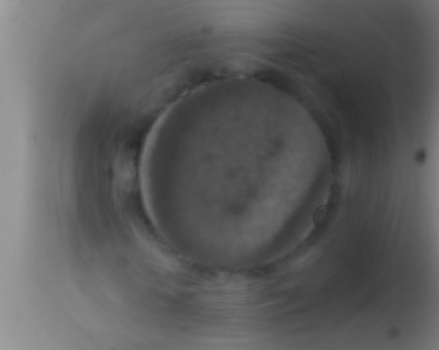 X0000113940818200910161913