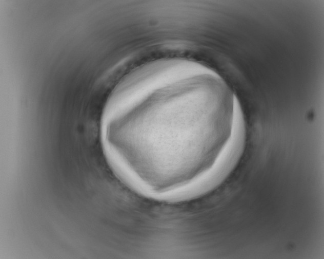 X0000113940821200910161913