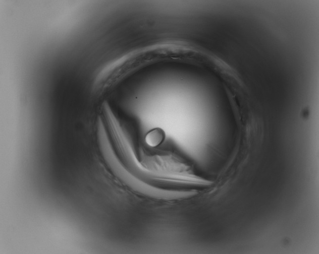 X0000113940822200910161913