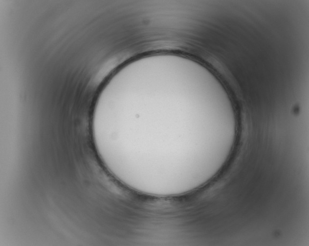 X0000113940834200910161913