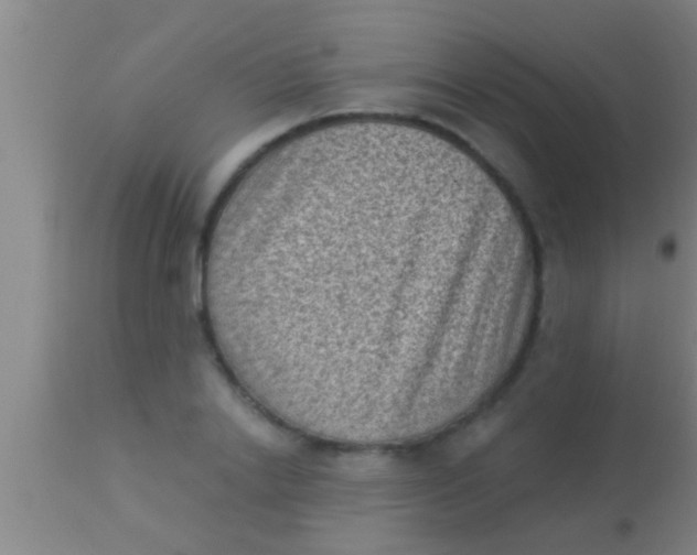 X0000113940838200910161913