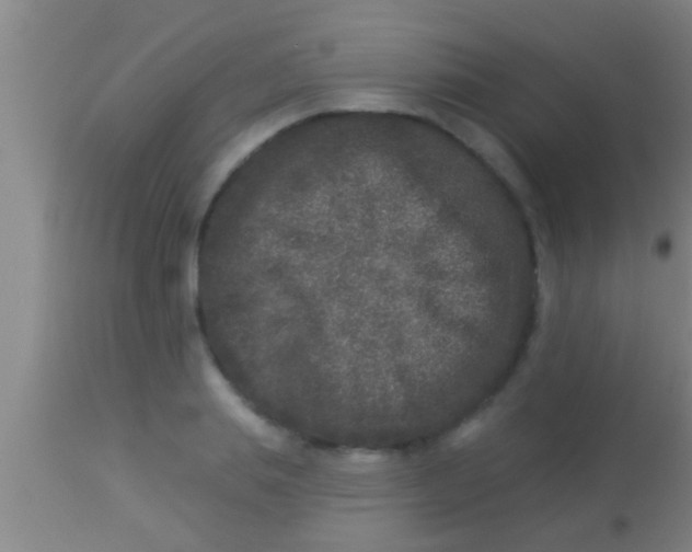 X0000113940839200910161913