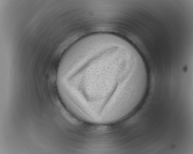 X0000113940841200910161913