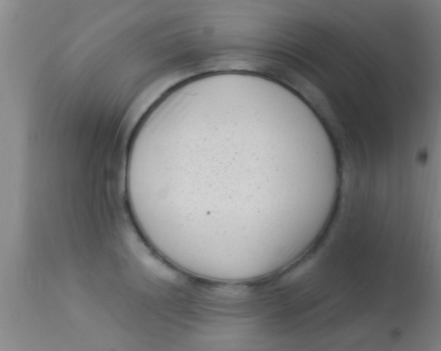 X0000113940844200910161913