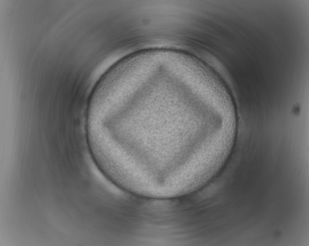 X0000113940847200910161913
