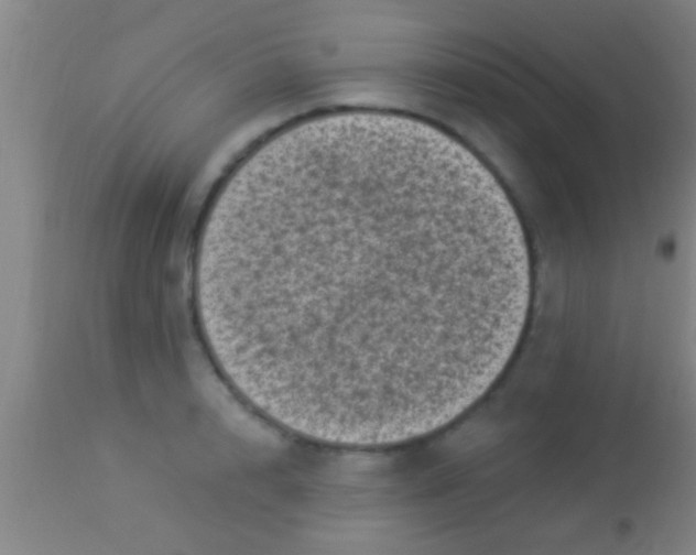 X0000113940848200910161913