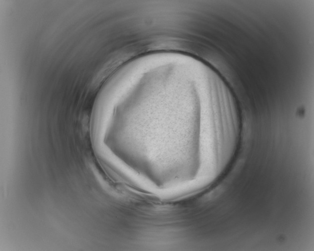 X0000113940849200910161913