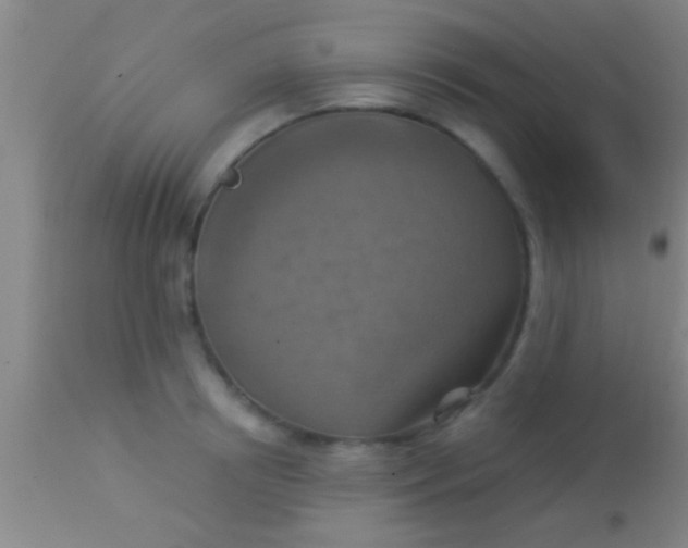 X0000113940850200910161913