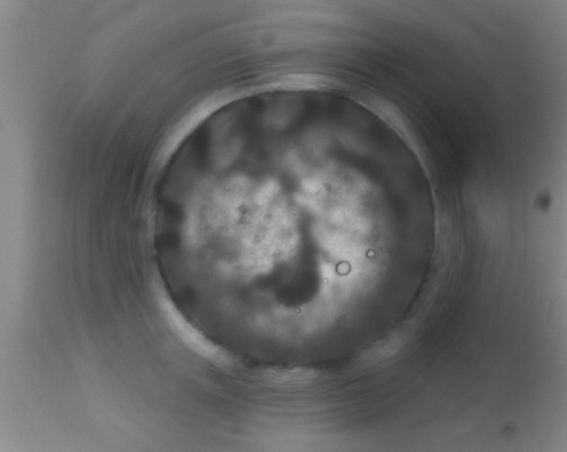 X0000113940851200910161913