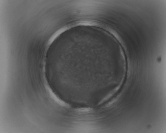 X0000113940853200910161913