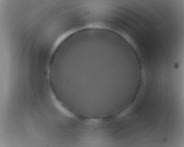 X0000113940854200910161913