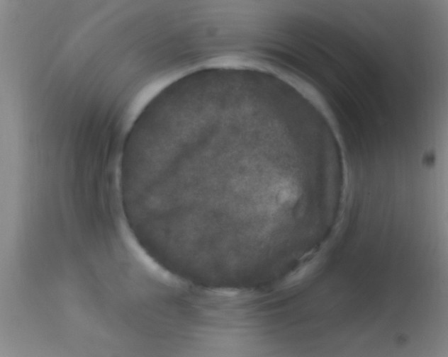 X0000113940855200910161913