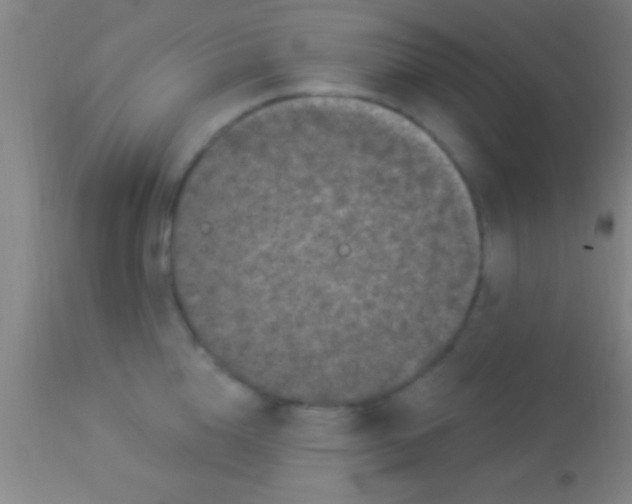 X0000113940856200910161913