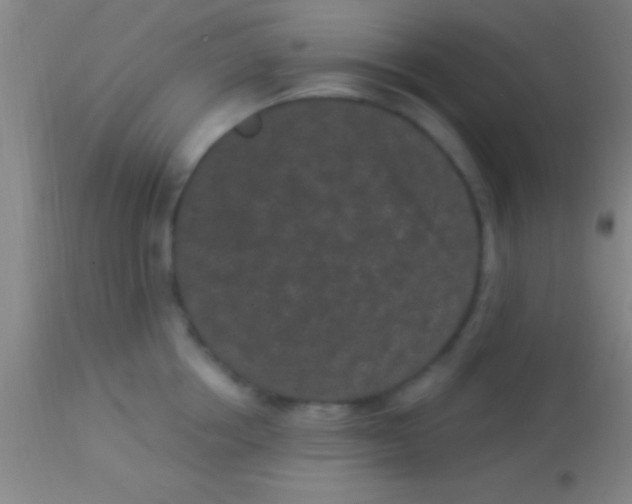 X0000113940858200910161913