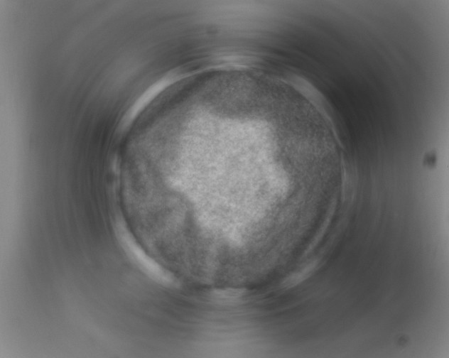 X0000113940859200910161913
