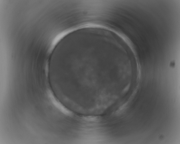X0000113940862200910161913