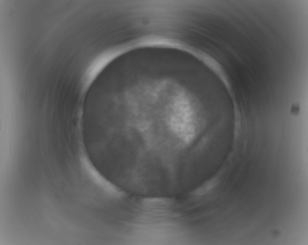 X0000113940863200910161913